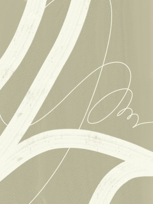 Elegant Flowing Lines
