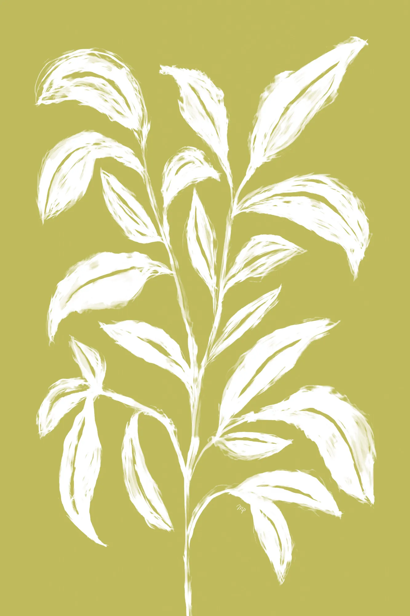 White Leaf Sketch