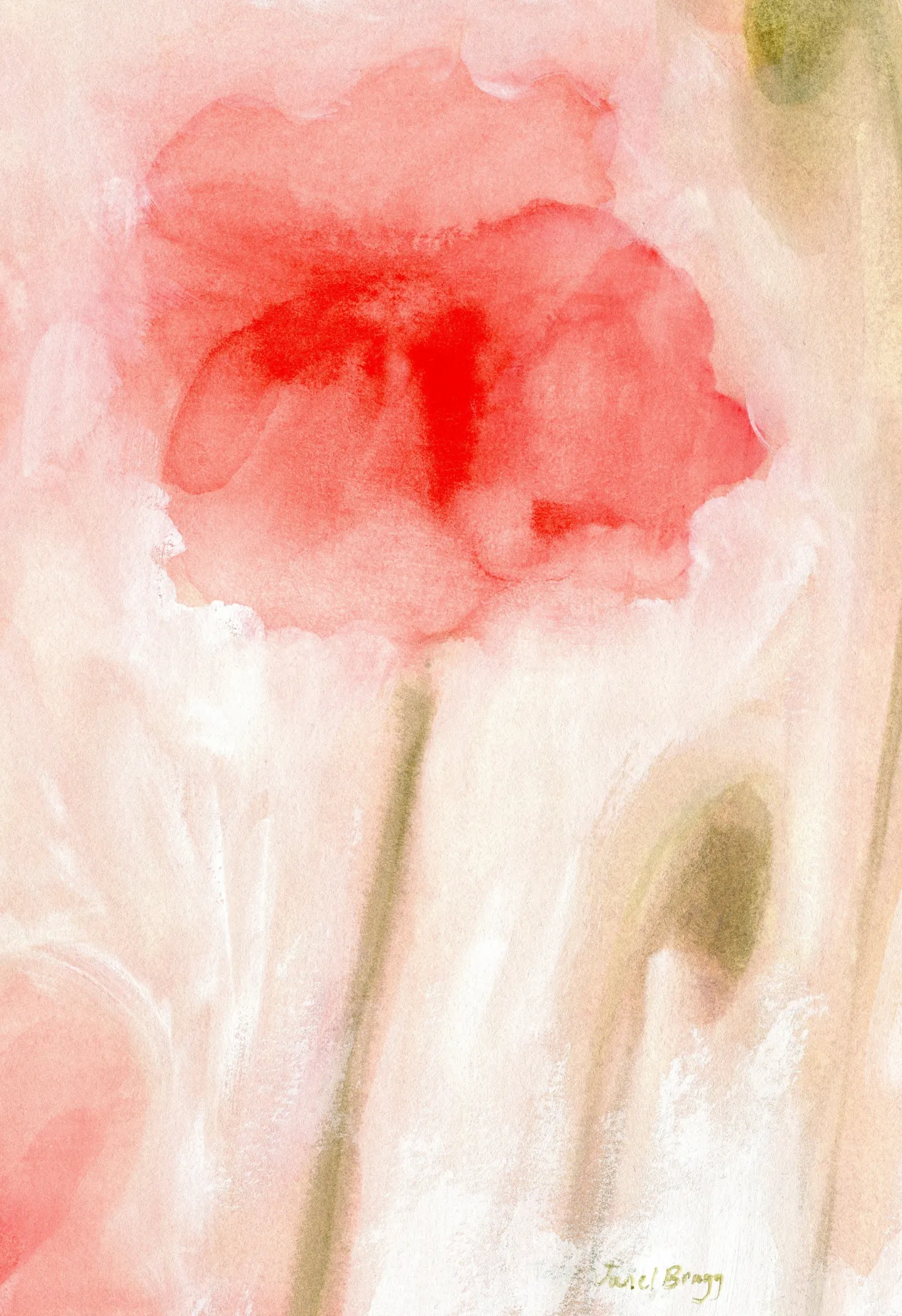 Floral Impression In Coral II