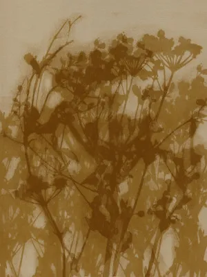 Abstract Florals. Wild flowers in ochre, brown on beige.