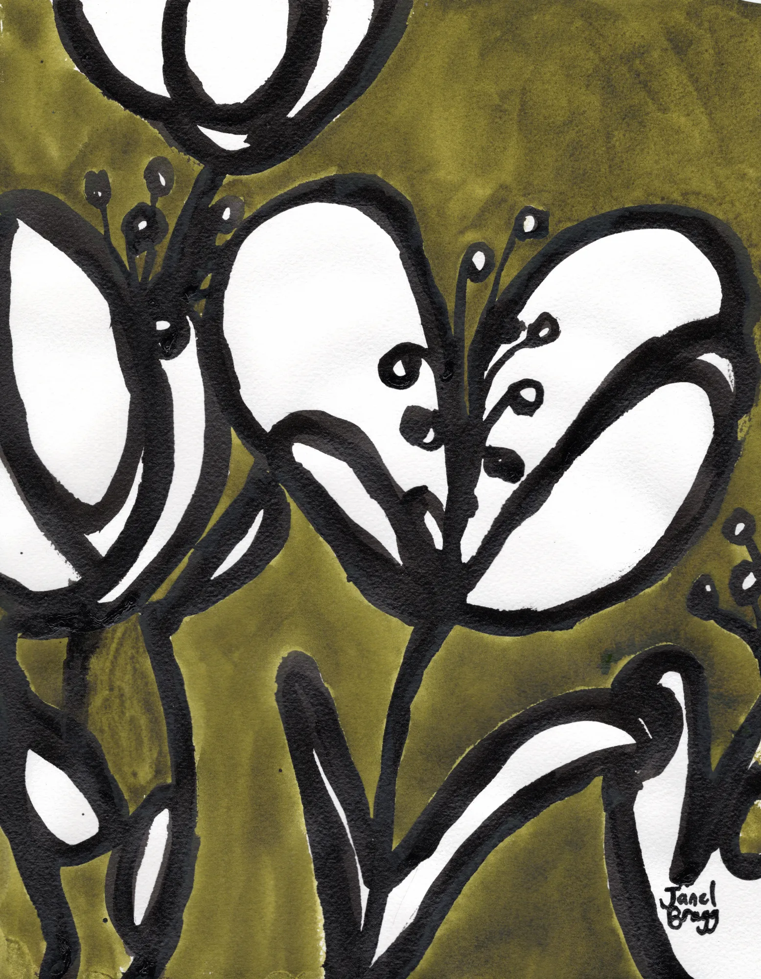 Tulipes en vert mousse par Janel Bragg
