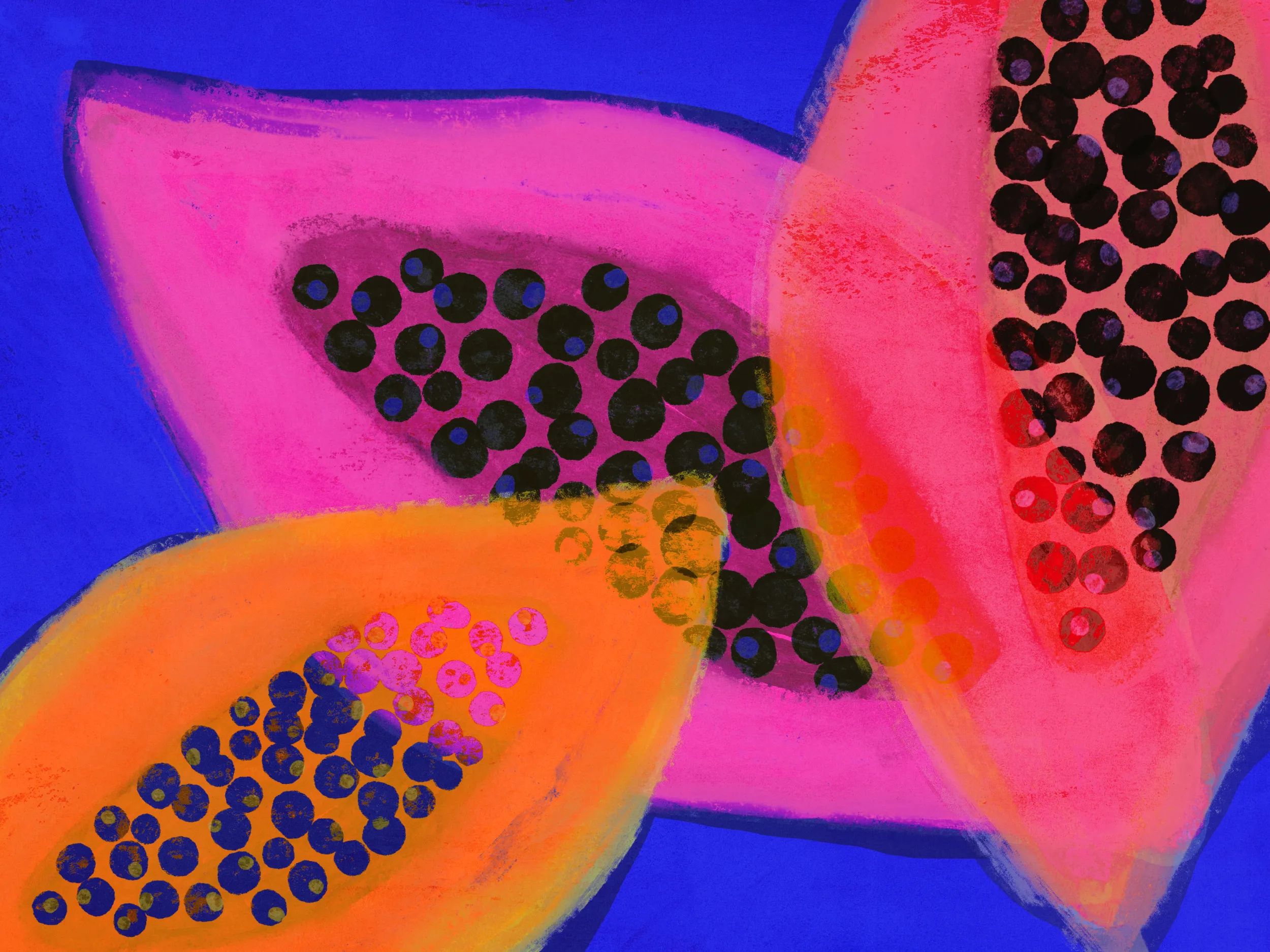 Vibrant Harmony