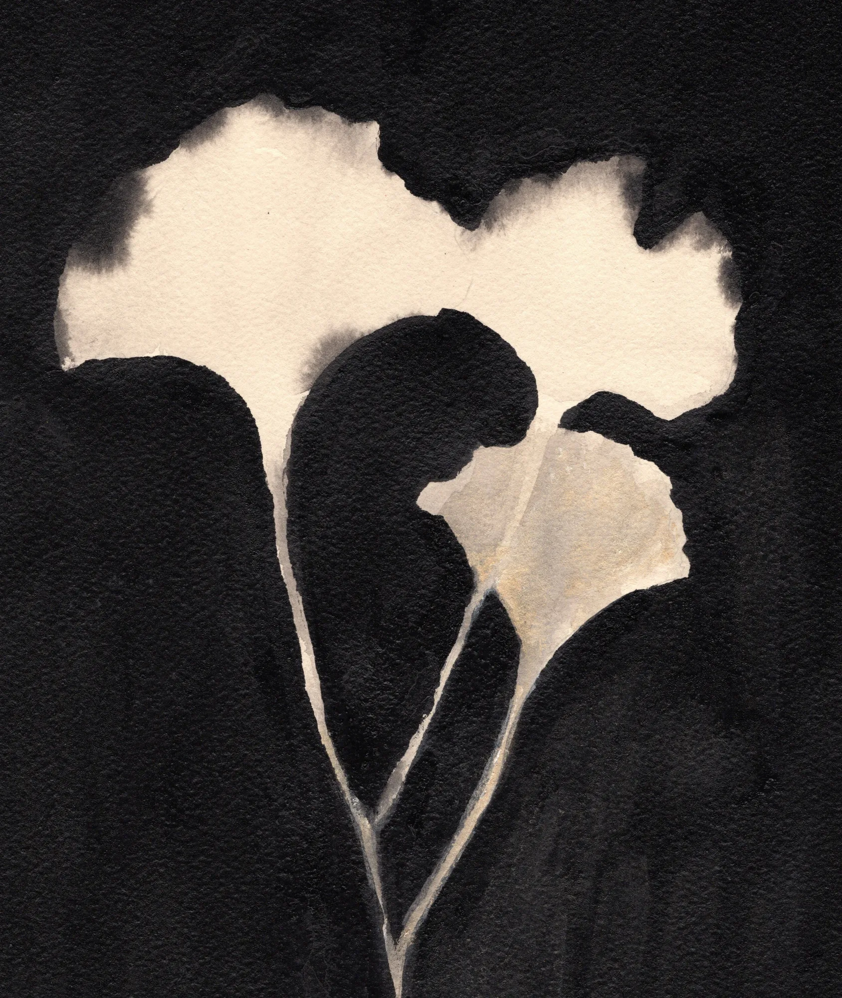 Ginkgo leaves pair ii par janel bragg