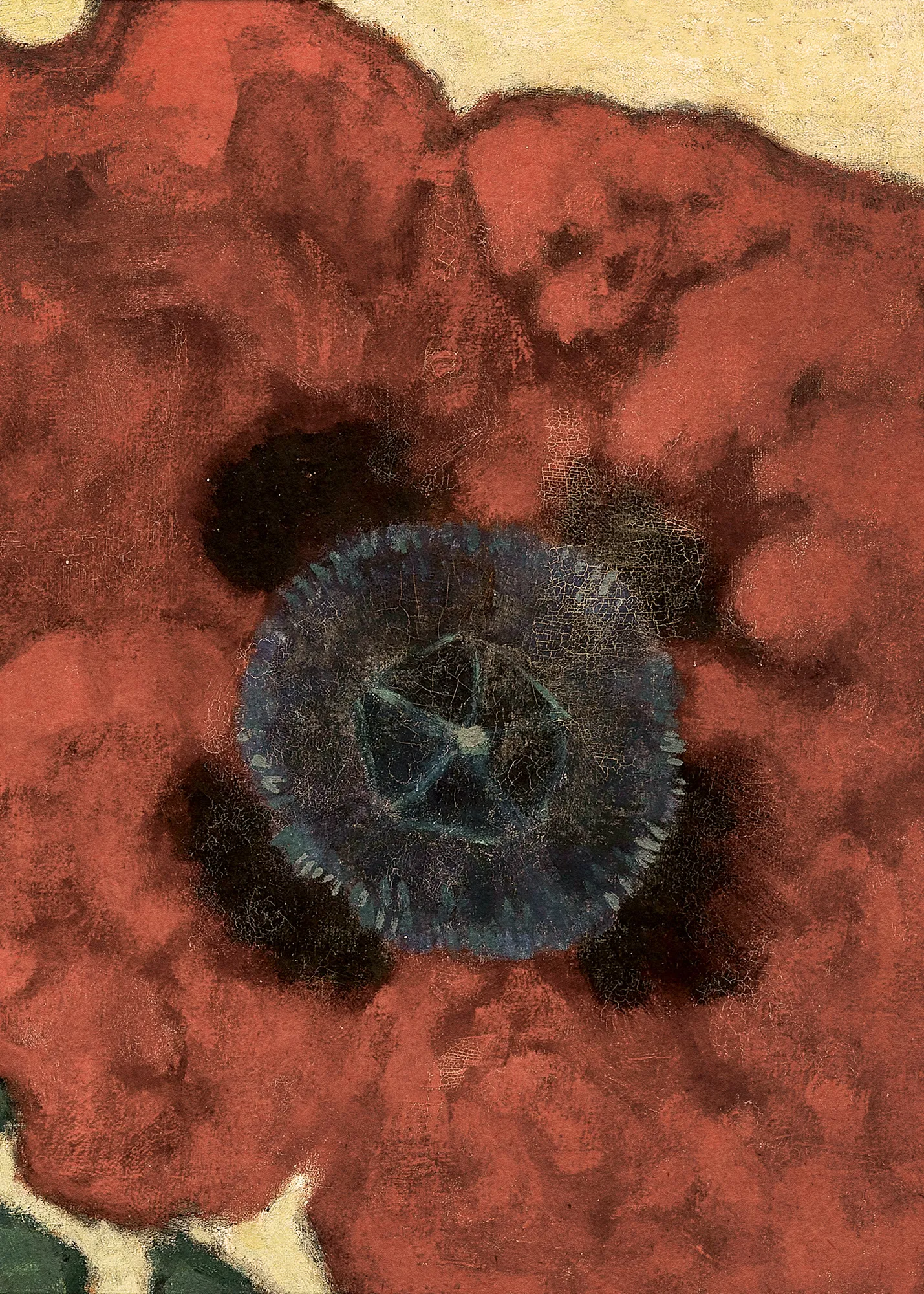 Fleur de coquelicot en plein air par artur nikodem