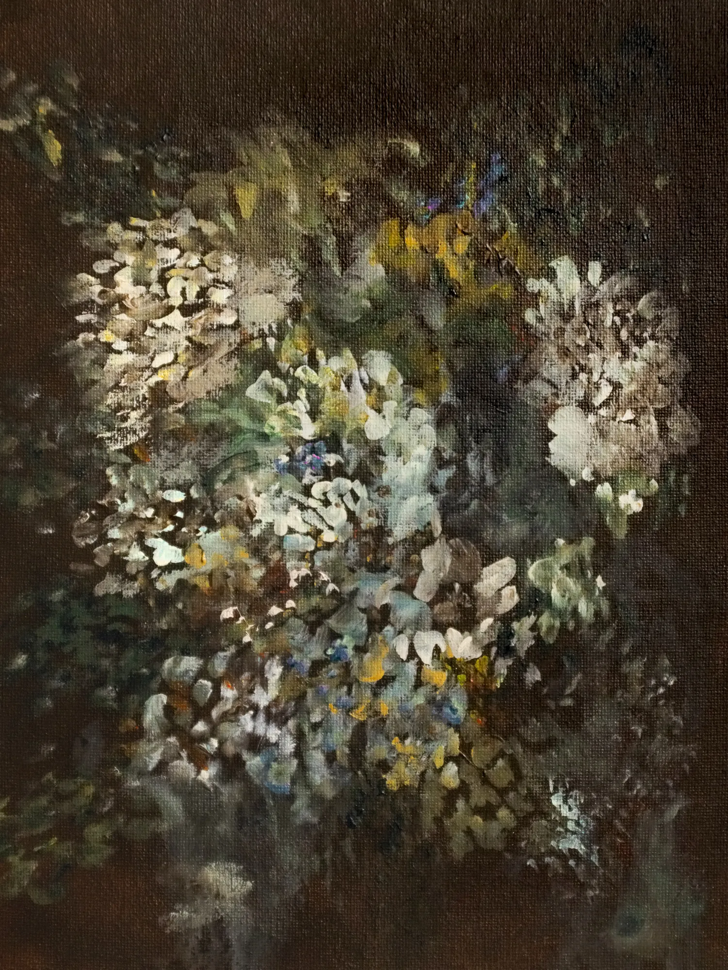 Fleurs d’hiver sous ciel sombre