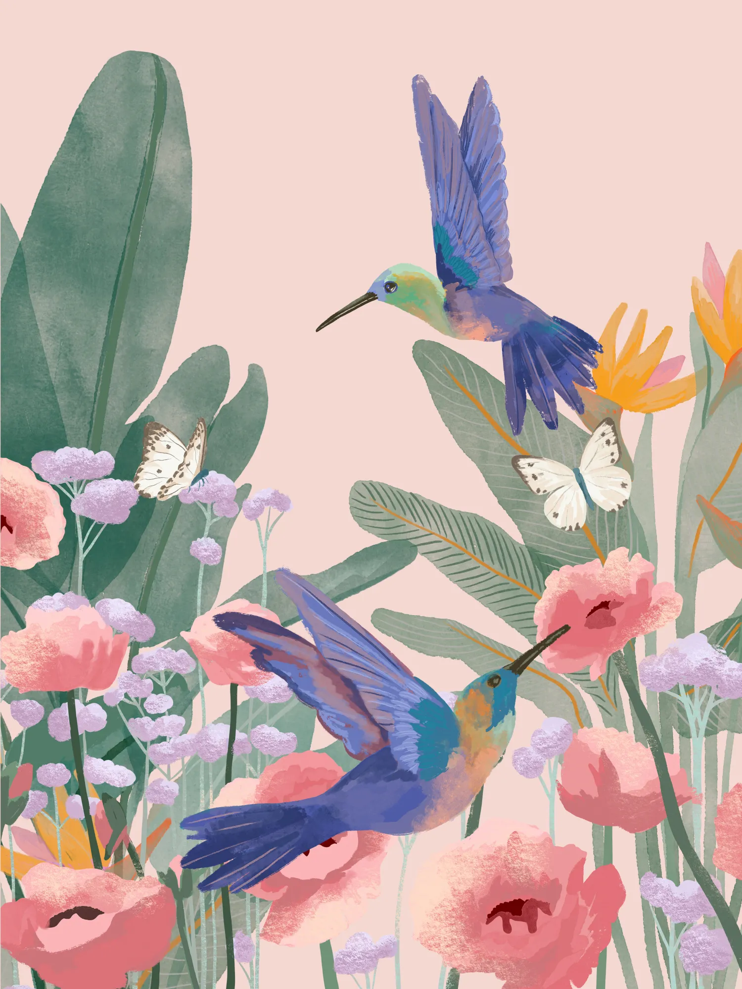 Hummingbirds