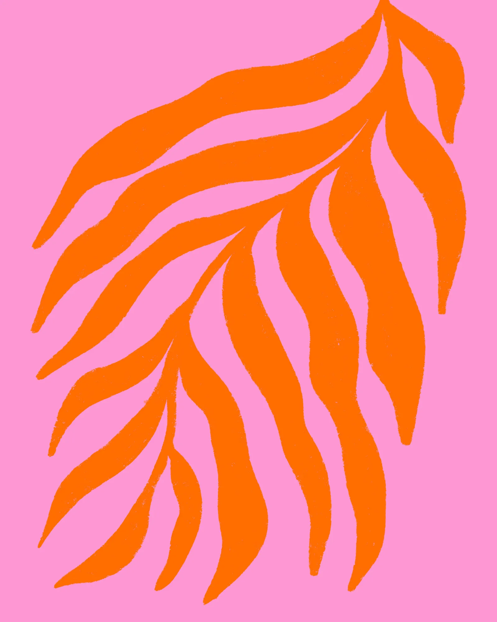 Silhouette vive d’une feuille colorée